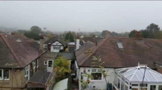 Pruning 101 
#pottersbar #pruning #oak